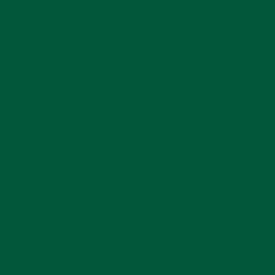 Solid Vinyl Forest Green