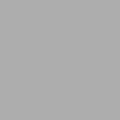 Solid Vinyl Grey