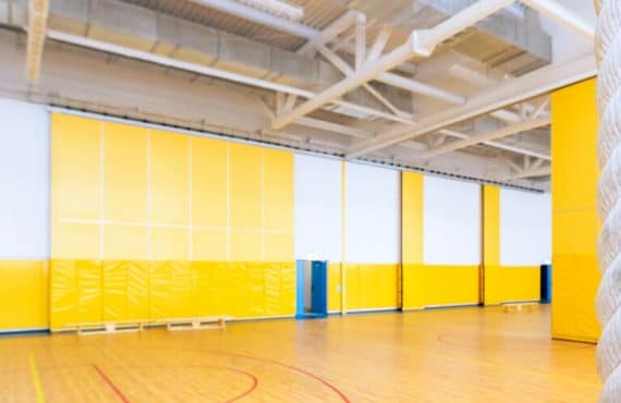 Gym Dividers