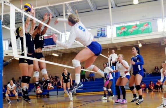 Gym Maintenance Volleyball